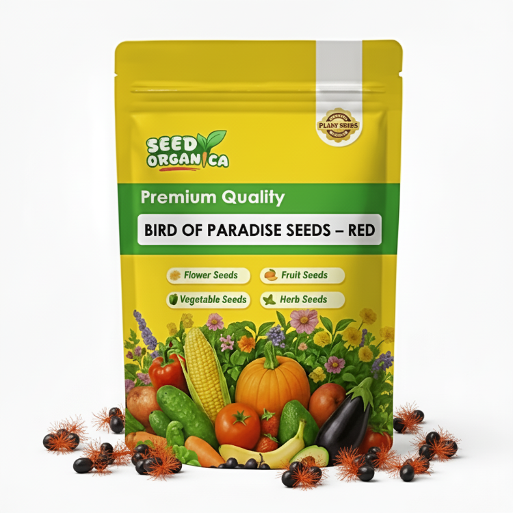 Bird of Paradise Seeds – Red