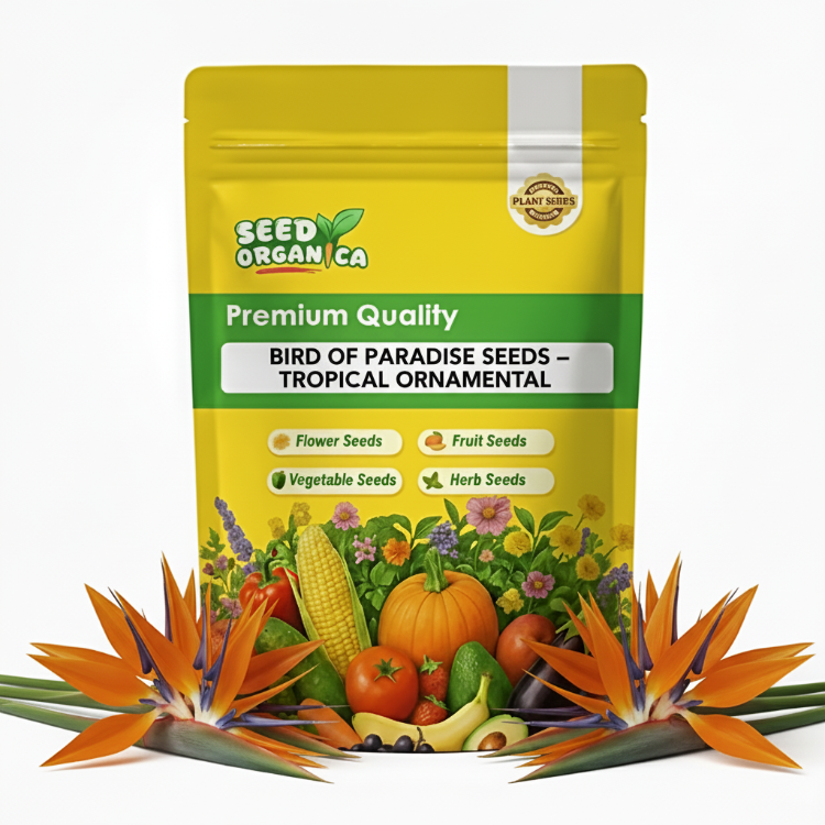Bird of Paradise Seeds – Tropical Ornamental
