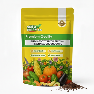 Bird's-Foot Trefoil Seeds – Perennial Groundcover