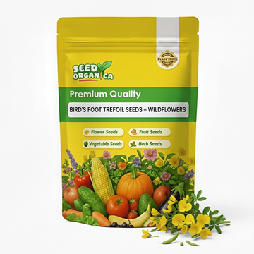 Bird's Foot Trefoil Seeds –  Wildflowers