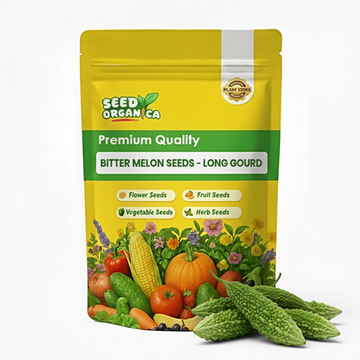 Bitter Melon Seeds - Long Gourd