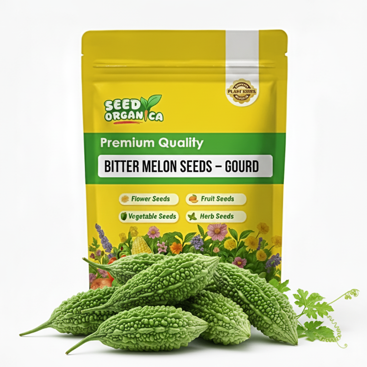 Bitter Melon Seeds – Gourd