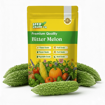 Bitter Melon Seeds – Smooth
