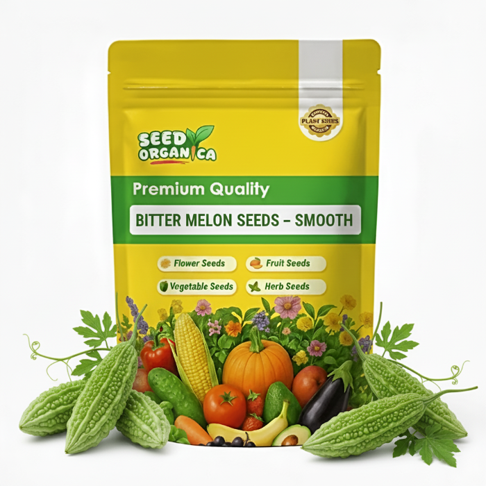 Bitter Melon Seeds – Smooth
