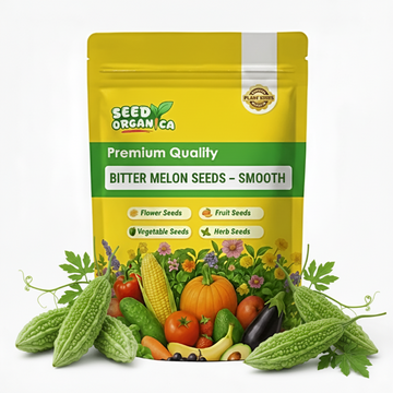 Bitter Melon Seeds – Smooth