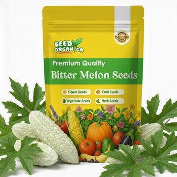 Bitter Melon Seeds – White
