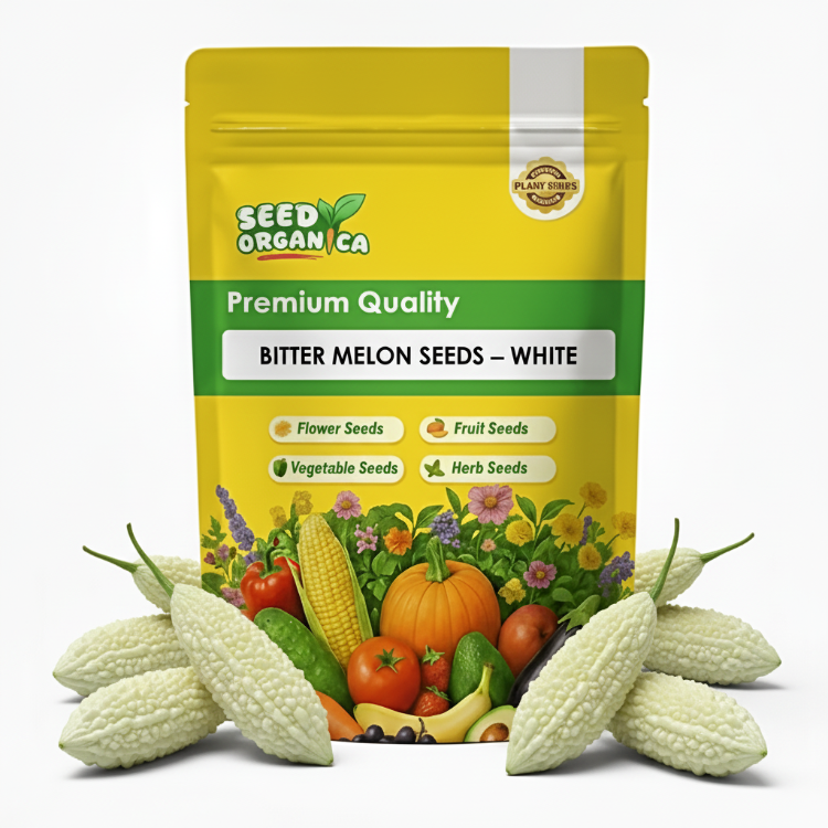 Bitter Melon Seeds – White