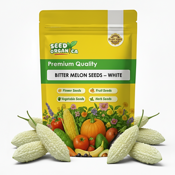Bitter Melon Seeds – White