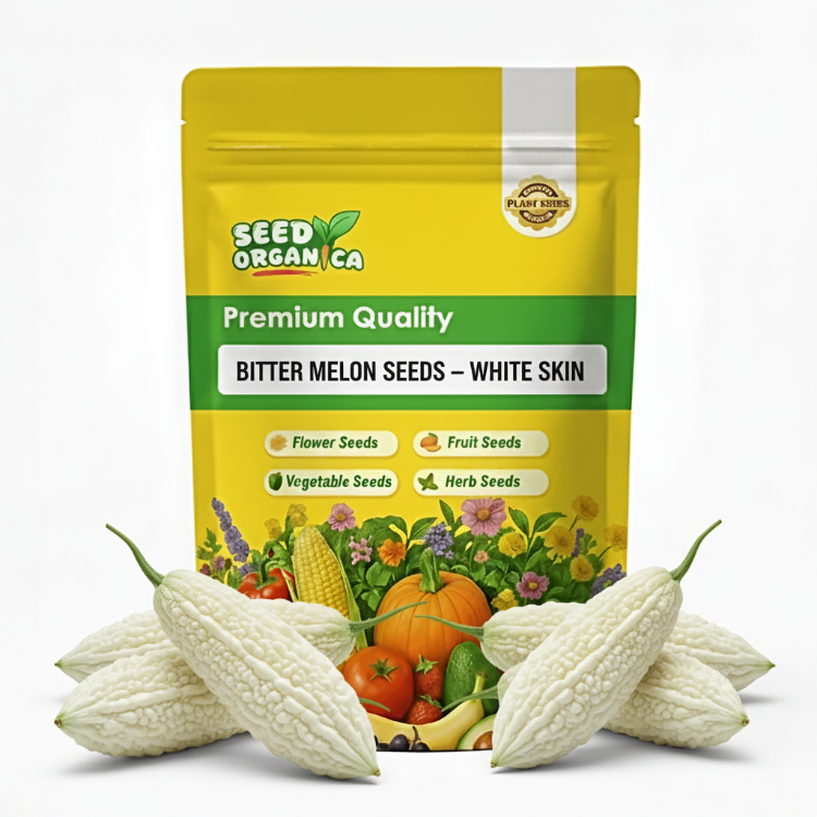 Bitter Melon Seeds – White Skin