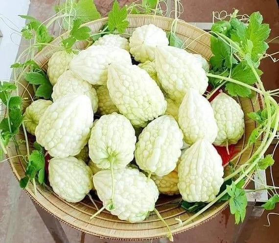 Bitter Melon Seeds – White Skin
