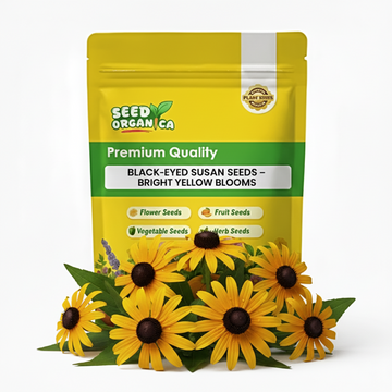 Black-Eyed Susan Seeds – Bright Yellow Blooms