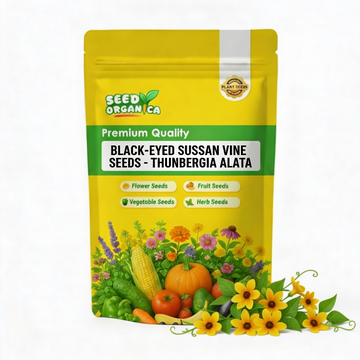 Black-Eyed Susan Vine Seeds – Thunbergia Alata