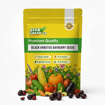 Black Arbutus Bayberry Seeds