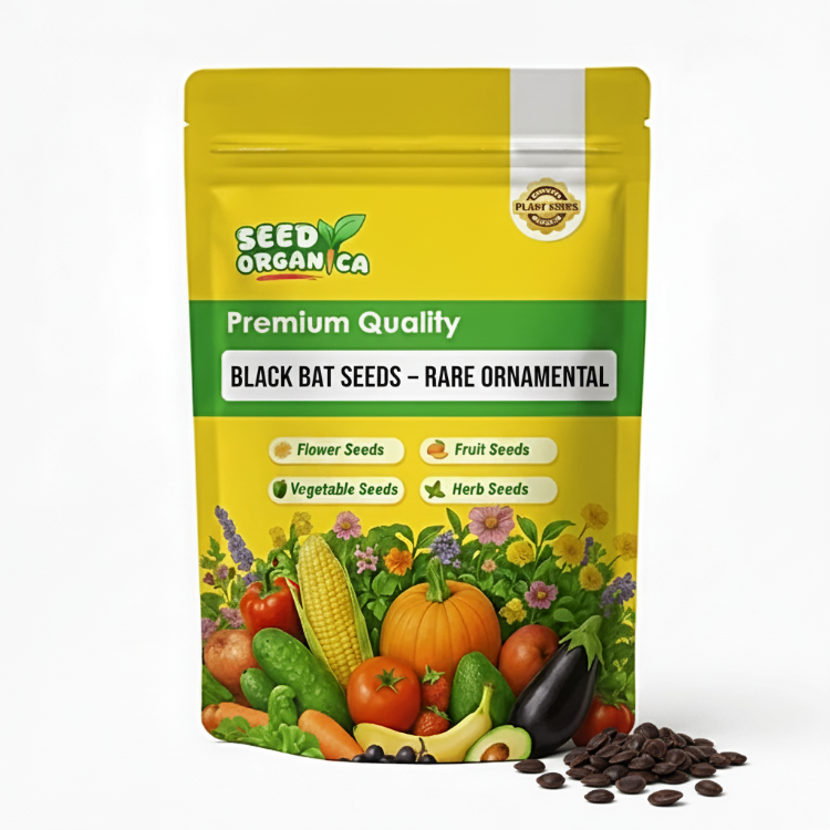 Black Bat Seeds – Rare Ornamental