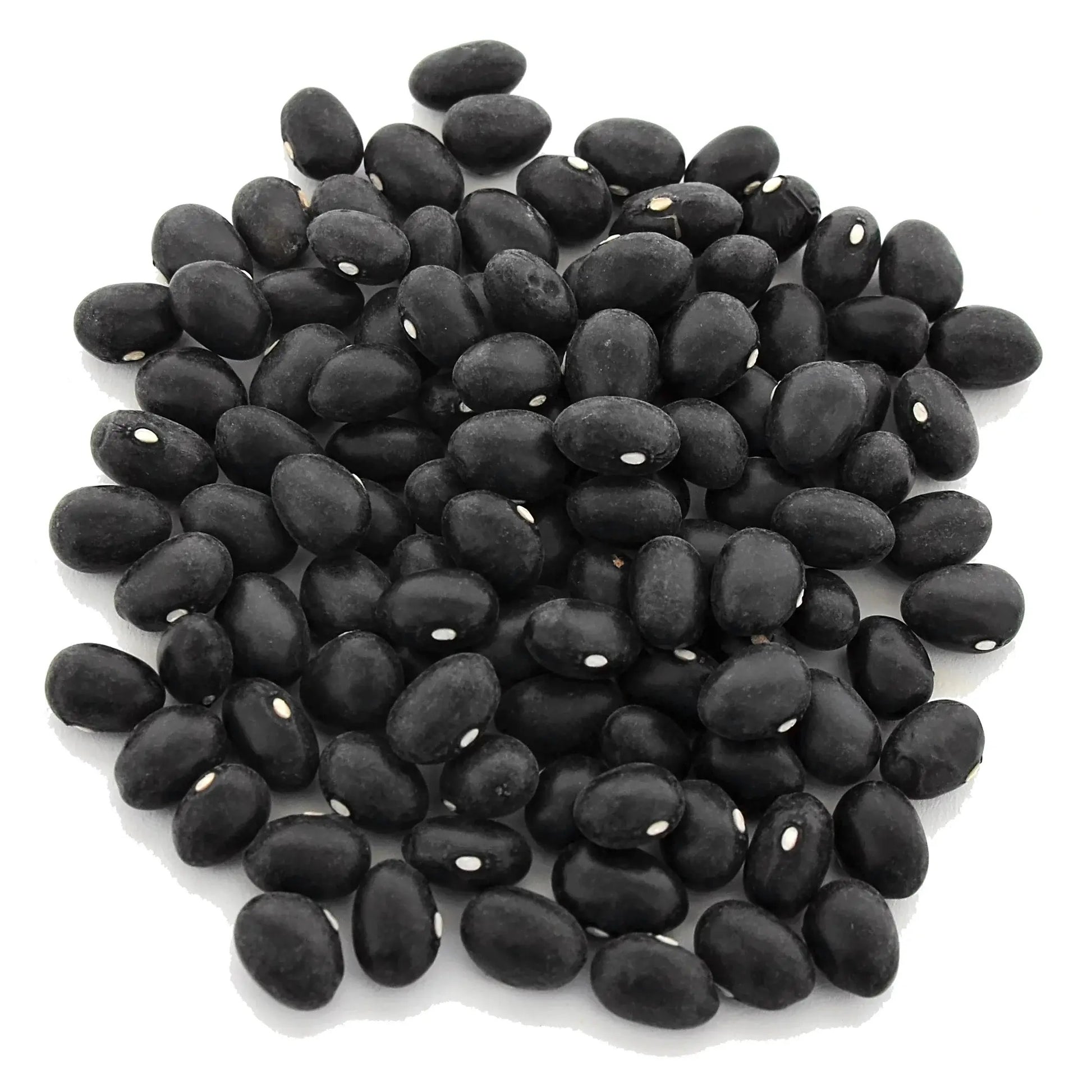 Black Coco Bean Seeds - Heirloom
