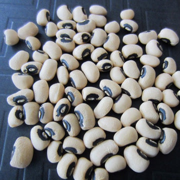 Black Eyed Peas Seeds
