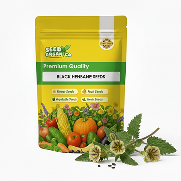 Black Henbane Seeds