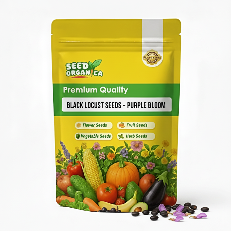 Black Locust Seeds – Purple Bloom