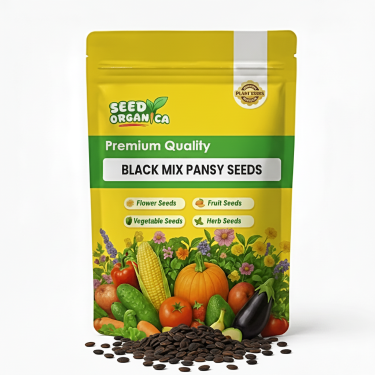 Black Mix Pansy Seeds