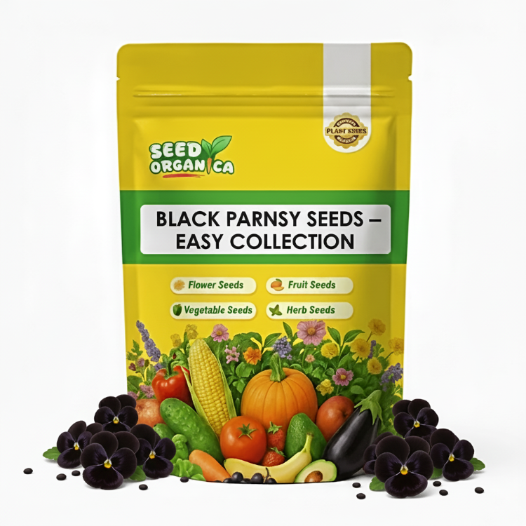 Black Pansy Seeds – Easy Collection