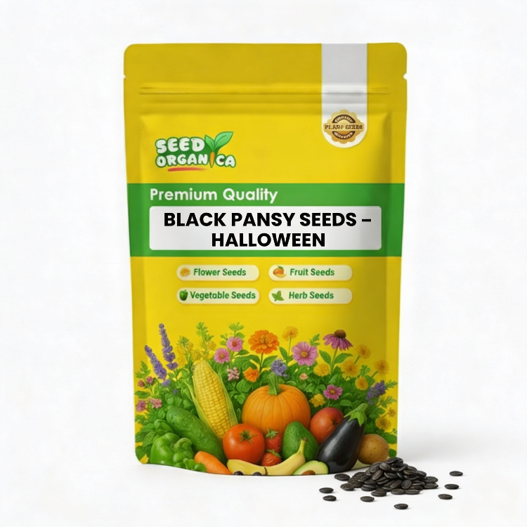 Black Pansy Seeds – Halloween
