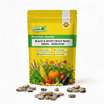 Black & White Trout Bean Seeds – Heirloom