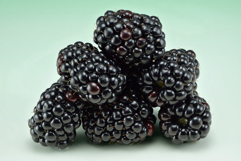 Blackberry Seeds
