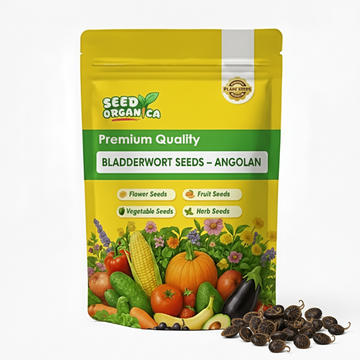 Bladderwort Seeds – Angolan