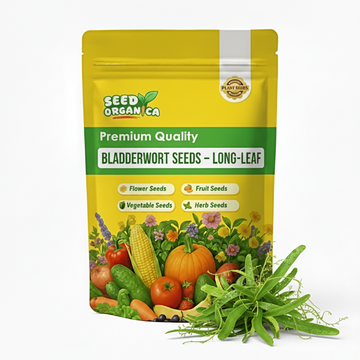 Bladderwort Seeds – Long-Leaf