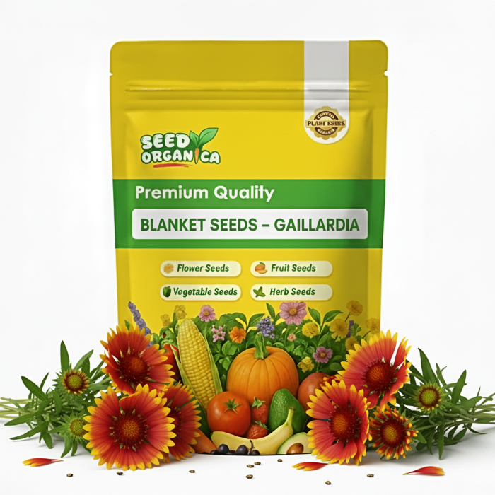 Blanket Seeds – Gaillardia