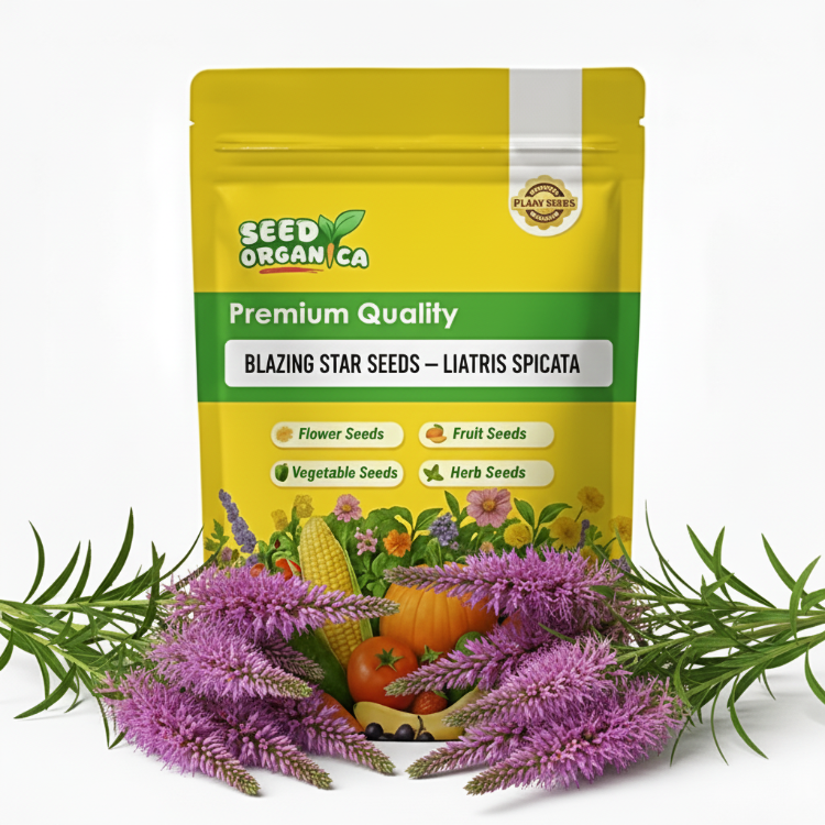 Blazing Star Seeds – Liatris Spicata