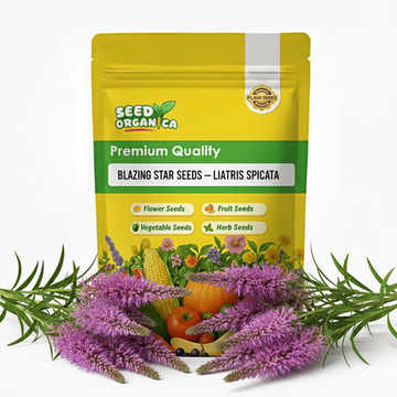 Blazing Star Seeds – Liatris Spicata