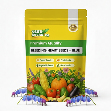 Bleeding Heart Seeds – Blue