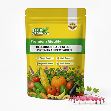 Bleeding Heart Seeds – Dicentra Spectabilis