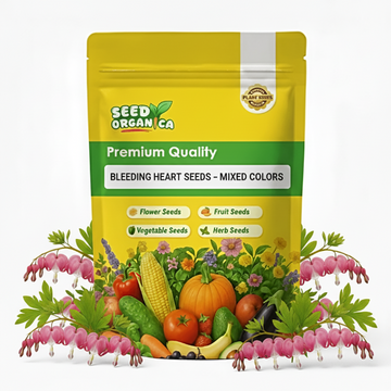Bleeding Heart Seeds – Mixed Colors