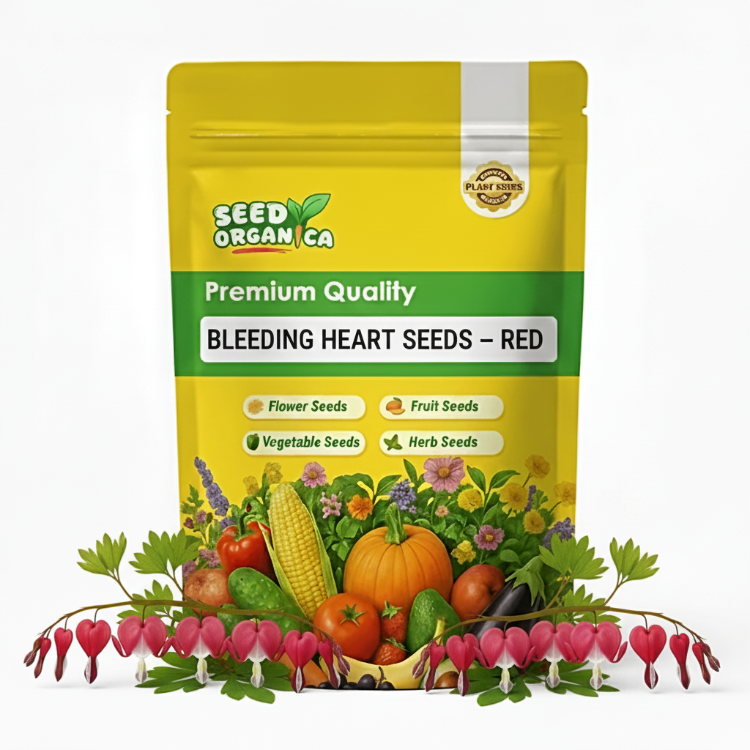 Bleeding Heart Seeds – Red