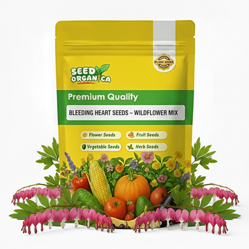 Bleeding Heart Seeds – Wildflower Mix