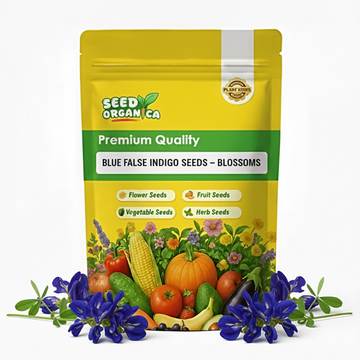 Blue False Indigo Seeds – Blossoms