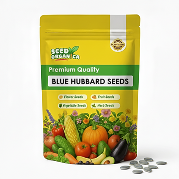 Blue Hubbard Seeds
