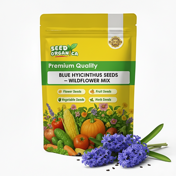 Blue Hyacinthus Seeds – Wildflower Mix