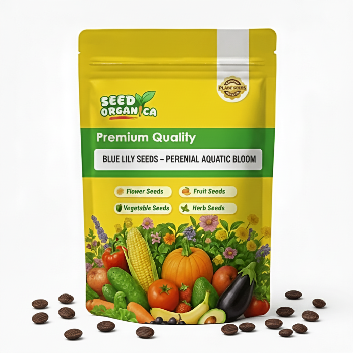 Blue Lily Seeds – Perennial Aquatic Bloom