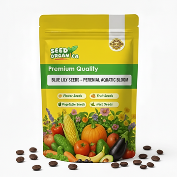 Blue Lily Seeds – Perennial Aquatic Bloom