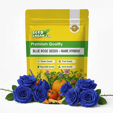 Blue Rose Seeds – Rare Hybrid