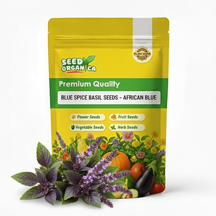 Blue Spice Basil Seeds – African Blue