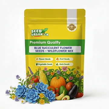 Blue Succulent Flower Seeds – Wildflower Mix