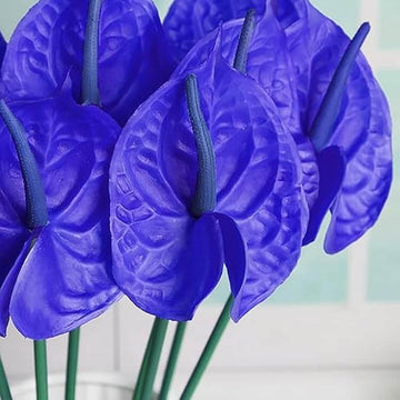Blue anthurium Linden Seeds 