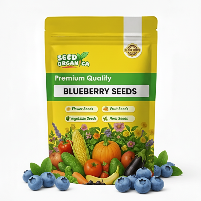 Blueberry Seeds
