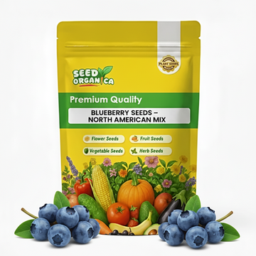 Blueberry Seeds – North American Mix