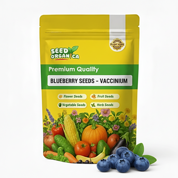 Blueberry Seeds – Vaccinium