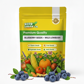 Blueberry Seeds – Wild Lowbush